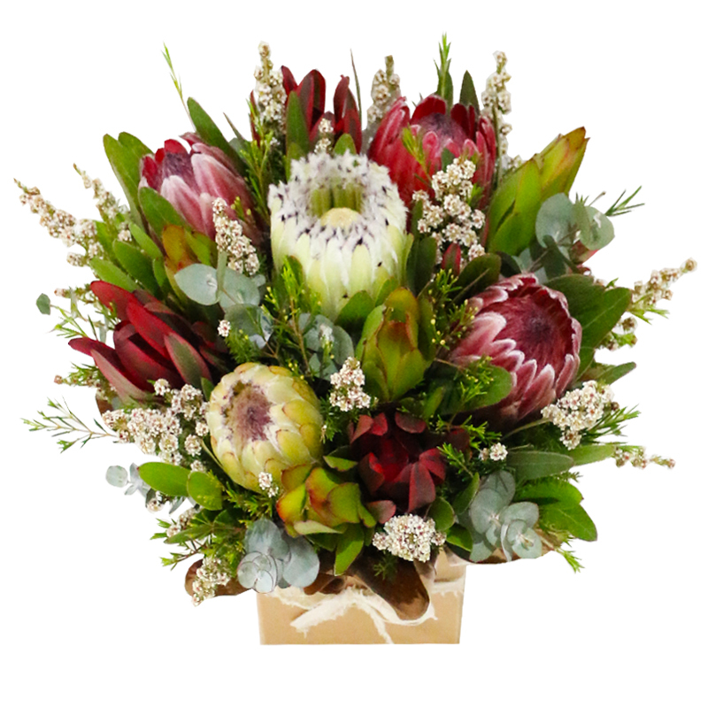 wilderness-australian-native-flower-box-botanique-flowers-24017.1556600946.1280.1280.jpg