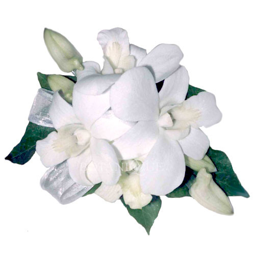 Dendrobium Orchid White Corsage