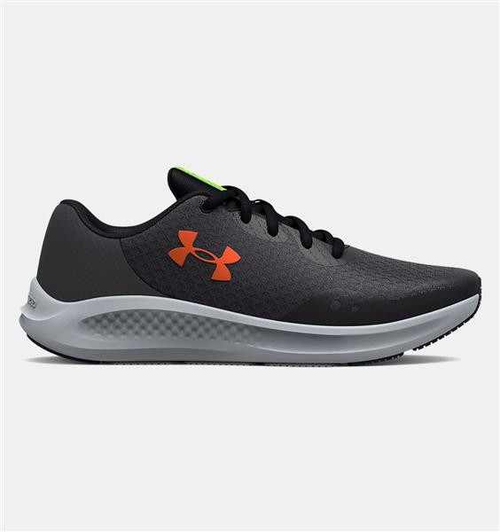 Ua bgs online pursuit