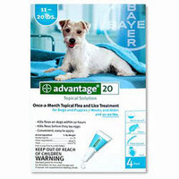 Advantage-4pk (Teal) Medium Dog 11-20 lbs (5-9 kg)