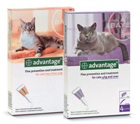 Advantage-4pk (Orange) Small Cat 1-9 lbs (0-4 kg)