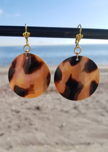 Shell Tiger-Eye Color Earrings (Gold)