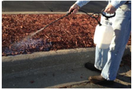 How to bring back color of mulch and keep it in place at the same time - Mulch  Glue