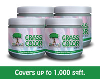 Grass Color: Fab Four-Pack