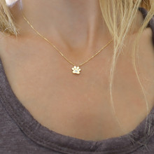 Mini Paw Print Necklace With Genuine Diamond - Choose Your Metal