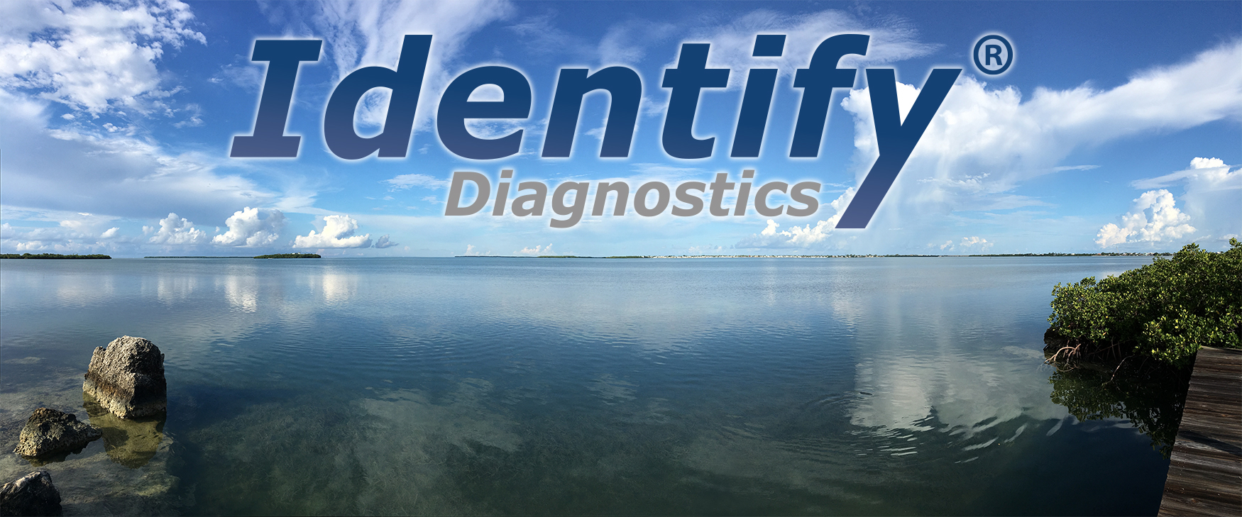 Identify Diagnostics Drug Test Cups FDA Cleared CLIA Waived