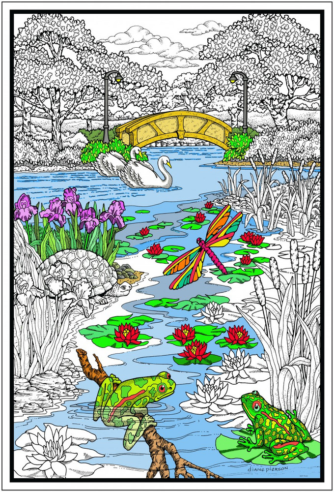 Pond In The Park - Big Coloring Poster