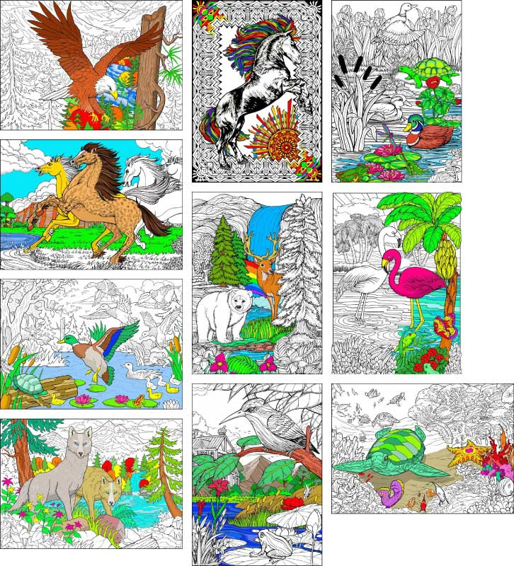 Download Wild Animals Adult Coloring Book Stuff2color