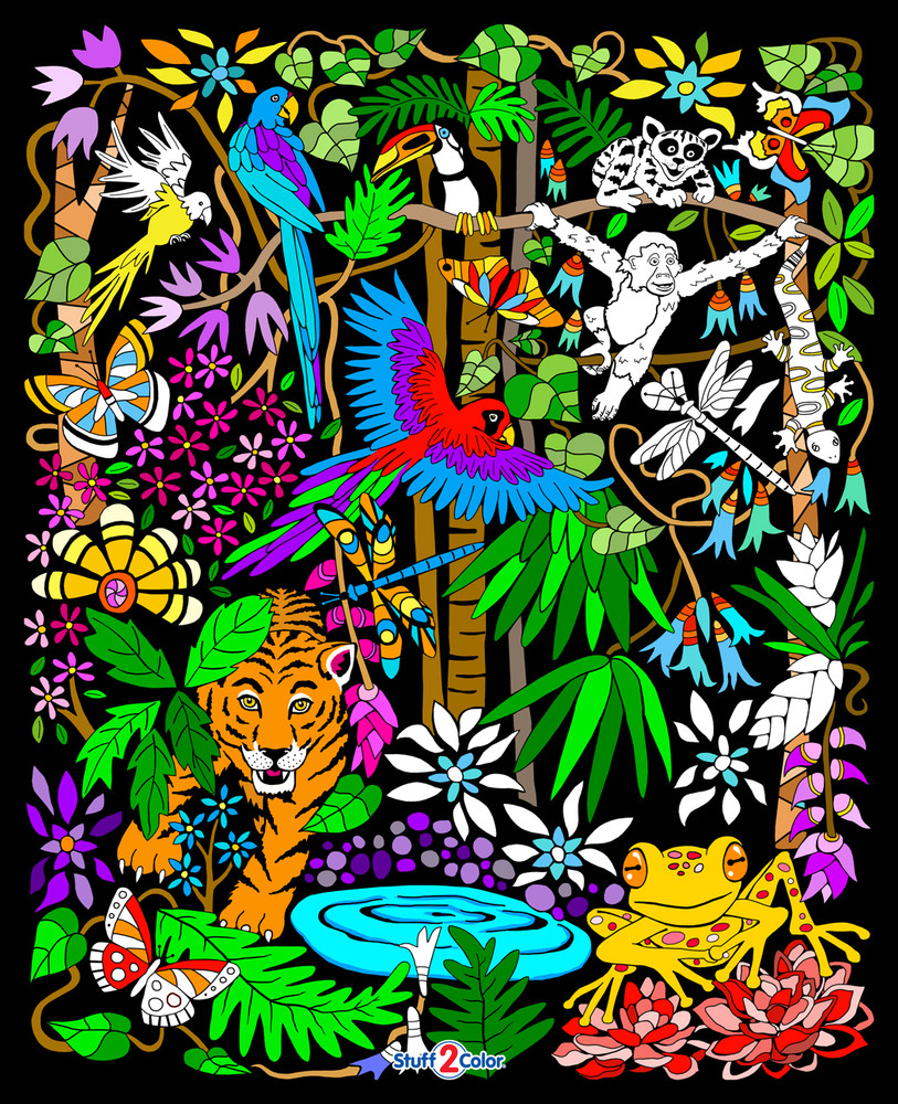 Rainforest - 16x20 Fuzzy Velvet Detailed Coloring Poster