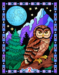 Midnight Owl Fuzzy Coloring Poster - For Kids and Adults