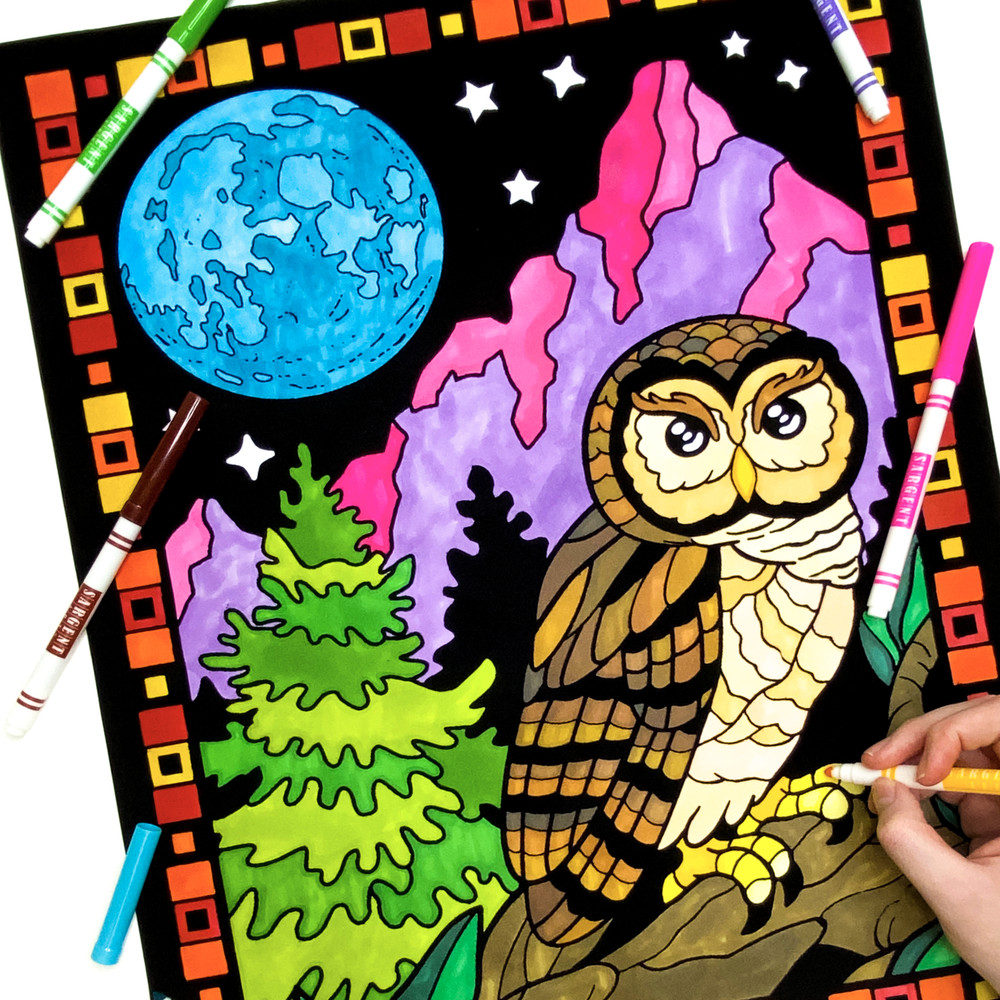 Draw a winter owl! Here's a fun winter afternoon art project to try