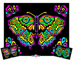 Painted Butterfly - Fuzzy Coloring Poster with 2 Bonus Designs
