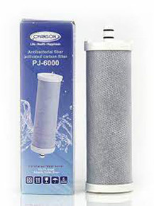 PJ6000 Replacement Filter