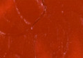 Maries Oil Color Vermilion 21ml