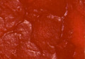 Maries Oil Color Scarlet