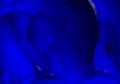 Maries Oil Color Ultramarine Blue