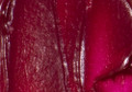Maries Oil Color Rose 50ml
