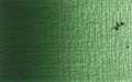 Rembrandt Oil Sap Green 40ml