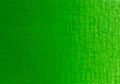Van Gogh Oil Permanent Green Medium