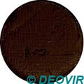 Golden Phoenix Face Paint 10g Rust Red