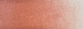 Old Holland Flesh Tint