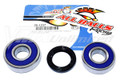 Wheel Bearing and Seal Kit Rear 78-81 CR250R, CR450R '81