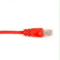 Black Boxwork Services Cat6 Patch Cables Red Part# CAT6PC-005-RD