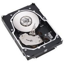 NETGEAR RD5D1LS01-100WWS ReadyDATA 5200  Disk Pack with 1 x 300GB  15K SAS (LFF) HDD, Part No# RD5D1LS01-100WWS