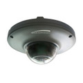 SPECO HINTMD1H IntensifierH Outdoor Color Miniature Dome Camera, 3.7mm, Dual Voltage