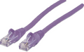 INTELLINET IEC-C6-PRP-100, Network Cable, Cat6, UTP 100 ft. (30.0 m), Purple, Stock# 393201