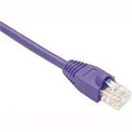 Unirise Usa, Llc Cat6 Shielded Gigabit Ethernet Patch Cable, Utp, Purple, Snagless, 25ft