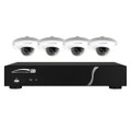 Speco 8 Channel Zip Kit with 4 Domes, 2T HD, Part# ZIPL84D2
