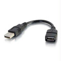 C2g 6 Inch Usb 2.0 A Male To A Female Extension Cable