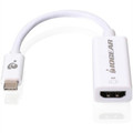 USB C to HDMI Adapter - GUC3CHD60