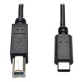 USB Hi Speed Cable B Male 6'