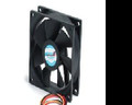 Startech Add Additional Chassis Cooling With A 80mm Ball Bearing Fan - Pc Fan - Computer