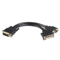 Startech 8in Lfh 59 To Dvi I Vga Dms 59 Cable
