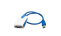 Add-on Addon 20.00cm (8.00in) Usb 3.0 (a) Male To Vga Female Blue Usb Video Adapter