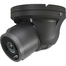Speco 2MP HD-TVI IntensifierT Vandal Turret,  3.6mm fixed lens, Grey housing, TAA, Part# HTINT601TA