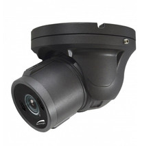 Speco 2MP HD-TVI IntensifierT Vandal Turret, 2.8-12mm motorized lens, Grey housing, TAA, Part# HTINT60TM