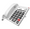 Readynet FlyingVoice Big Button Wi-Fi IP Phone, Part# FIP12WP
