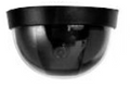 SPECO Color Dome Camera  Black 12mm Lens