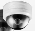 SPECO InPro Auto Networking Indoor Dome Camera, 2.9-10 mm AI Lens, with Power Supply