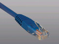 Patch cable RJ-45 (M) - RJ-45 (M) 1 ft  Part# N002-001-BL