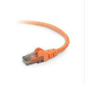 Belkin Components Patch Cable - Rj-45 - Male - Rj-45 - Male - 7 Feet - Unshielded Twisted Pair (ut Part# 1835675