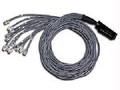 C2g 10ft Cat5 25-pair Telco Breakout Cable 180anddeg; Telco50 M/12-rj45 Part# 2437867