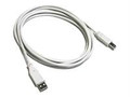 Cables To Go 6 ft USB2.0 A/B Cable Part# 1612548