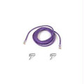 Belkin Components Patch Cable - Rj-45 (m) - Rj-45 (m) - 50 Ft - Utp - ( Cat 5e ) - Purple Part# 954916