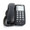 NEC DTH-1-1 / NEC Single Line Telephone Black (Stock # 780034
