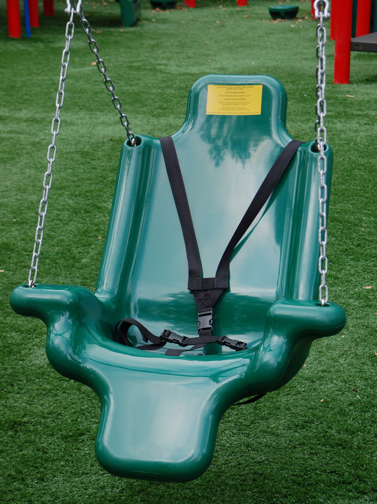 Adaptive Swing Seat with Harness and Chain